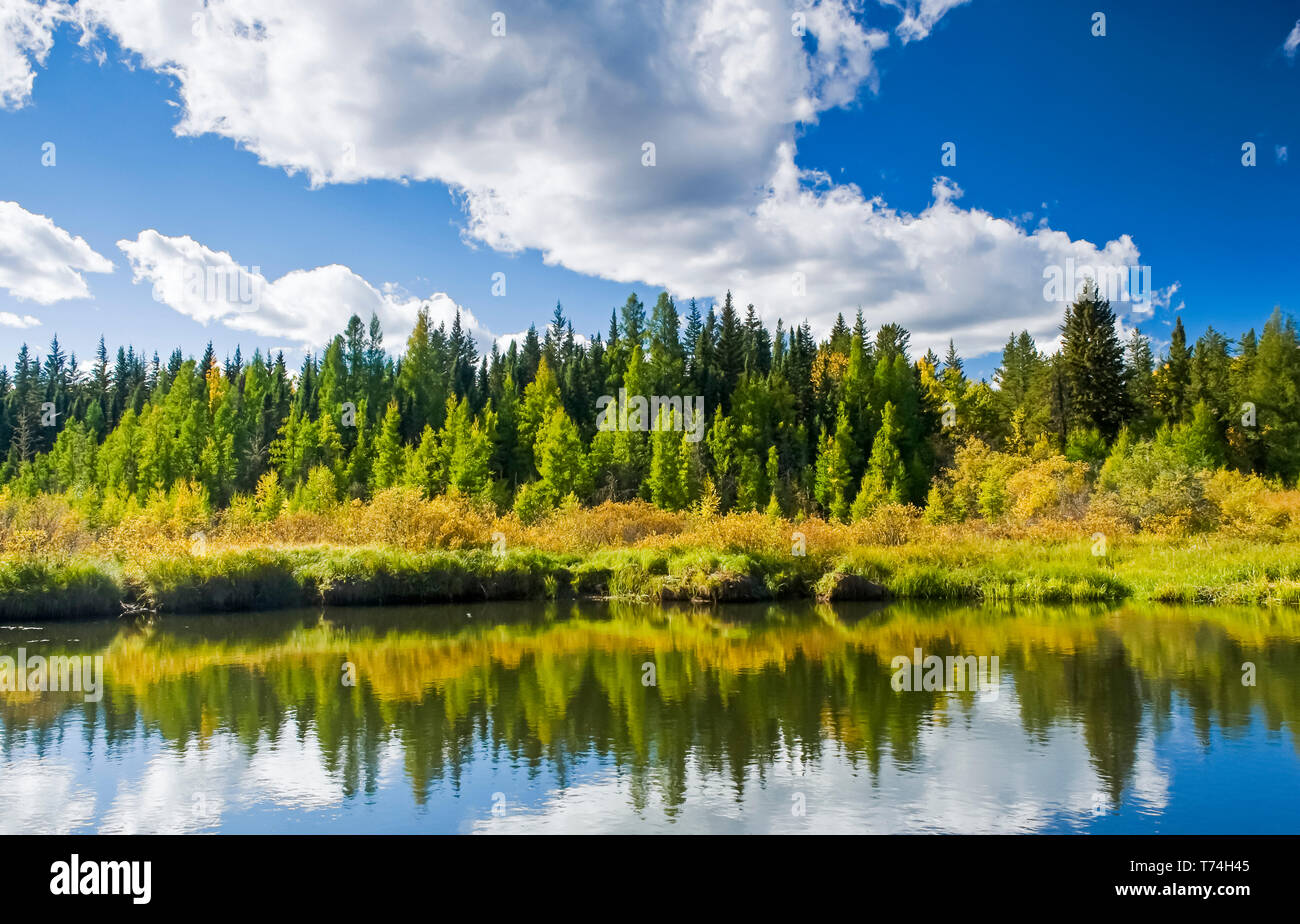 Stagno in autunno, Prince Albert Parco Nazionale; Saskatchewan, Canada Foto Stock