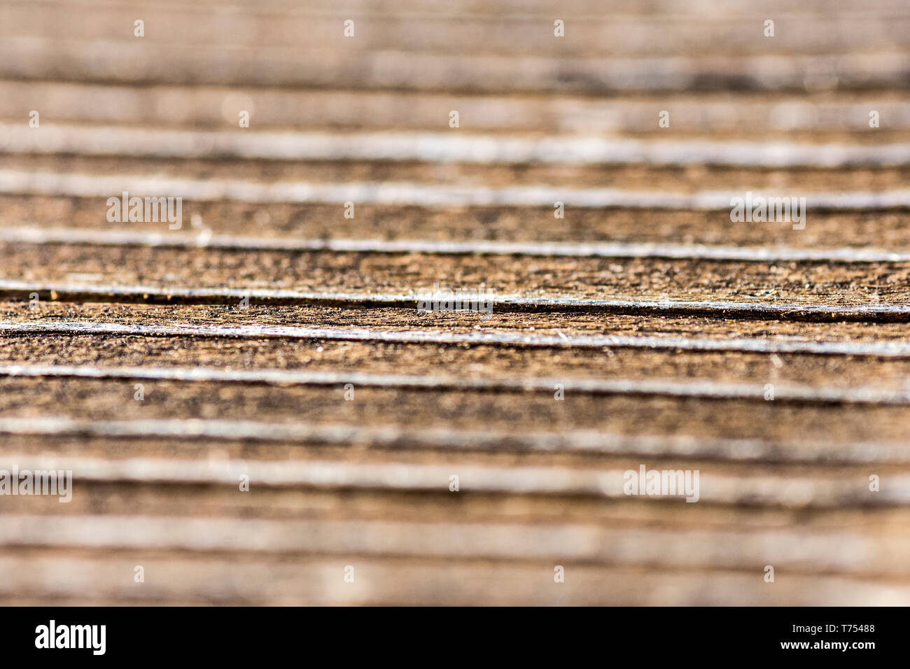 Macro shot dal di sopra del pezzo di legno Foto Stock