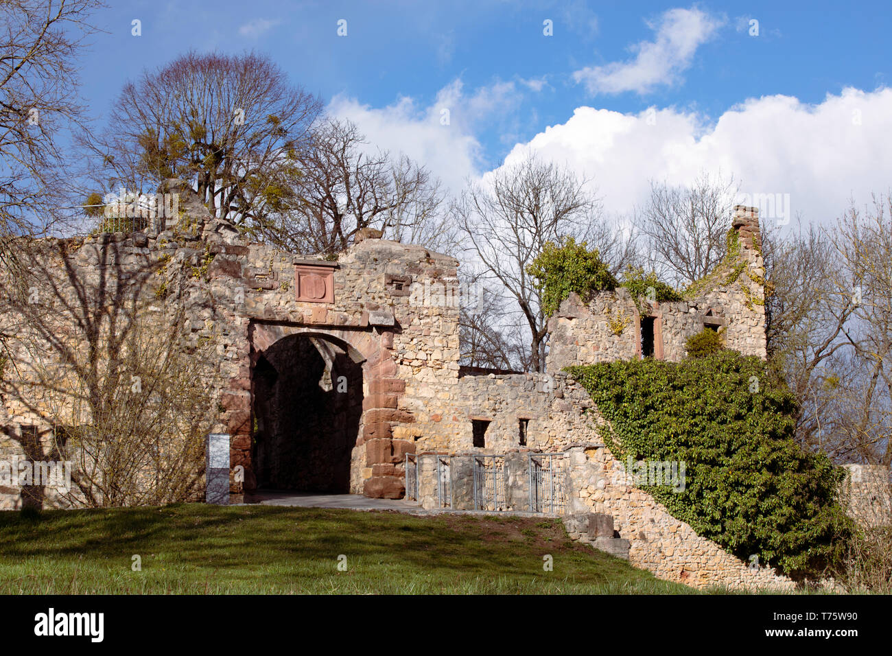 Immettere porta del castello di Rötteln, Burg Rötteln nelle Lörrach. I ruderi del castello medievale, Baden-Württemberg. Muro di pietra del castello Tedesco, la storica fortezza Foto Stock