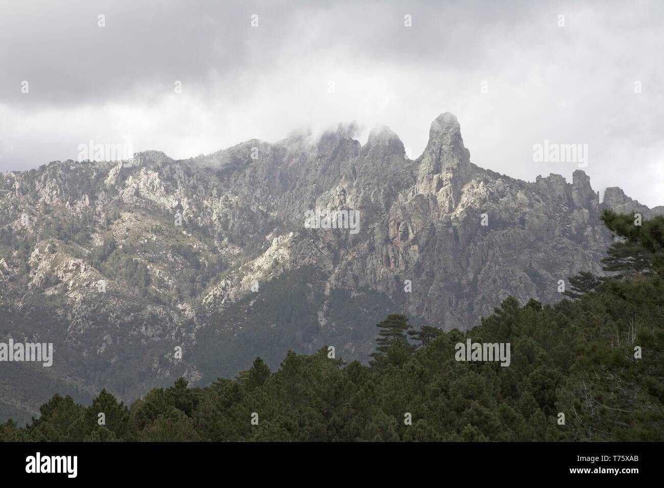 Montagne del Monte Incudine massiccio da Col de Bavella Corsica Francia Foto Stock