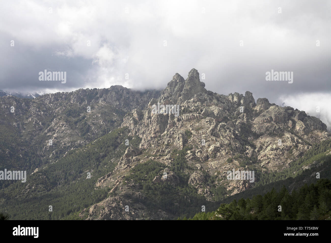 Montagne del Monte Incudine massiccio da Col de Bavella Corsica Francia Foto Stock