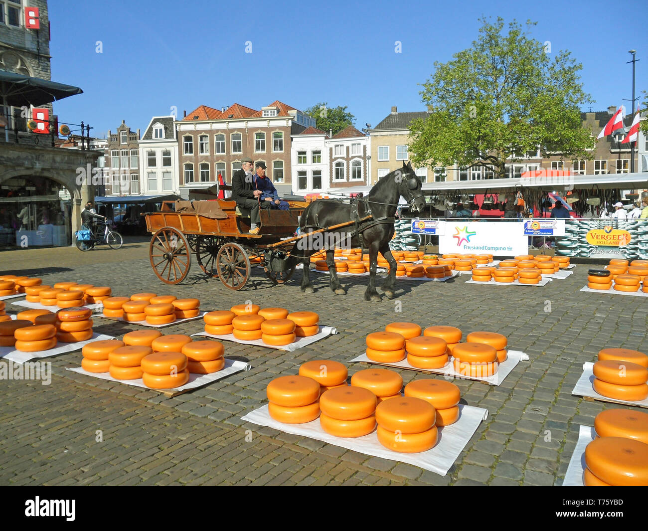 Ruote di formaggio Gouda consegnati da cavallo e carrello per il tradizionale formaggio Gouda Mercato, Paesi Bassi Foto Stock