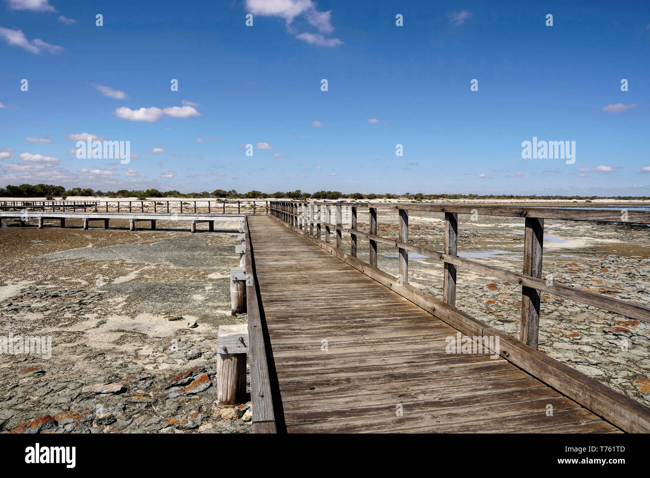 Hamelin Pool è uno dei pochi luoghi al mondo dove vivere stromatolites marino può essere trovato Foto Stock