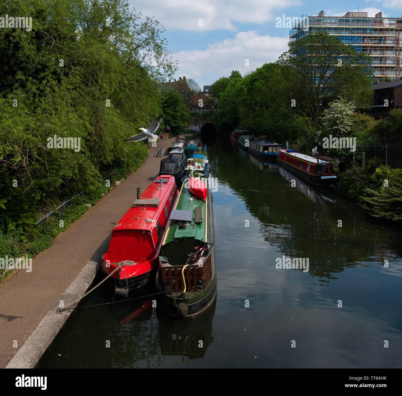 Strette barche ormeggiate sul Regents Canal, Londra Foto Stock