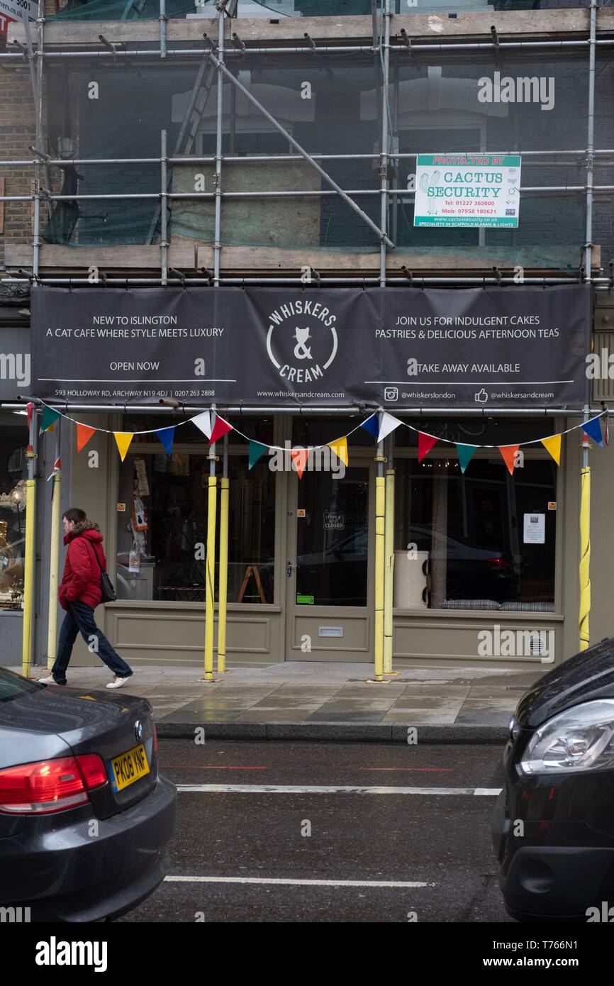Cat themed cafe, Holloway Road Foto Stock