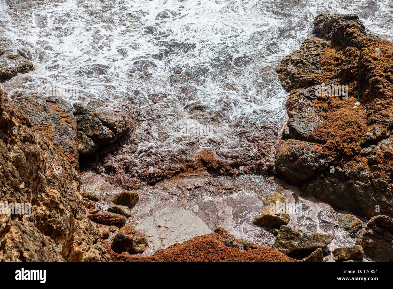 Onde si infrangono in una costa rocciosa a Grand Fond, St Barts Foto Stock