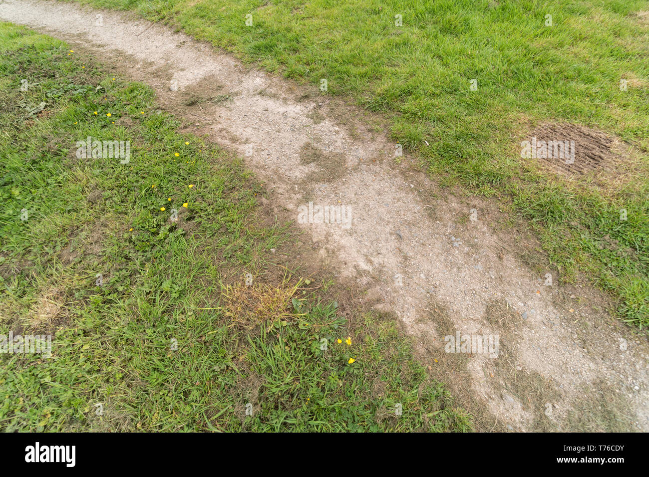 La curvatura ghiaioso sentiero tra macchie di verde erba. Forse metafora "carriera fuori rotta', girando l'angolo. Traccia ricurva. Foto Stock