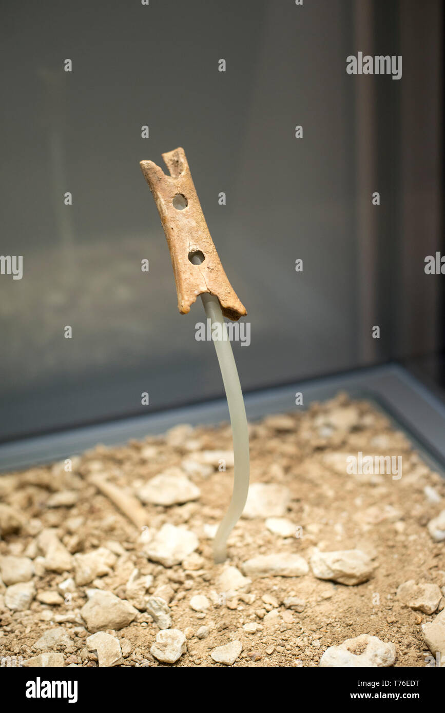 Flauto neandertaliano che è stato scavato in Slovenia è la più antica noto strumento musicale al mondo Foto Stock