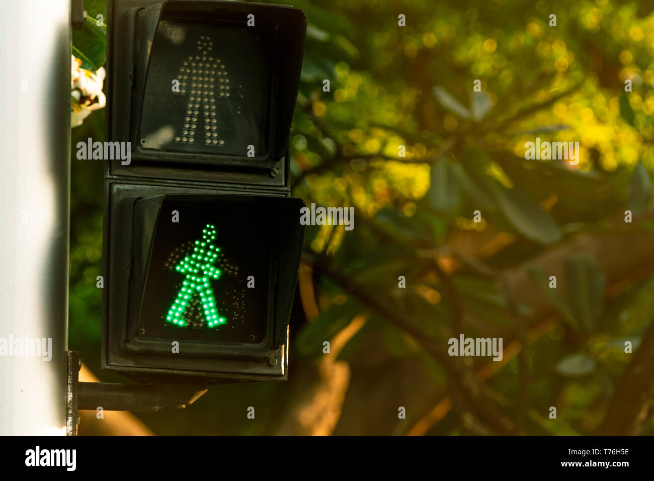 Segnali pedonale sul traffico il palo della luce. Attraversamento pedonale segno per il sicuro di andare a piedi in città. Segnale Crosswalk. Il semaforo verde segnale Foto Stock