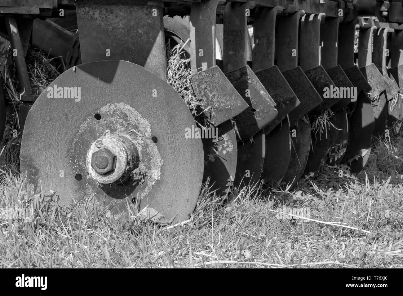 Fila nera e bianca di teglie per coltivatore erpice a disco usurate Foto Stock