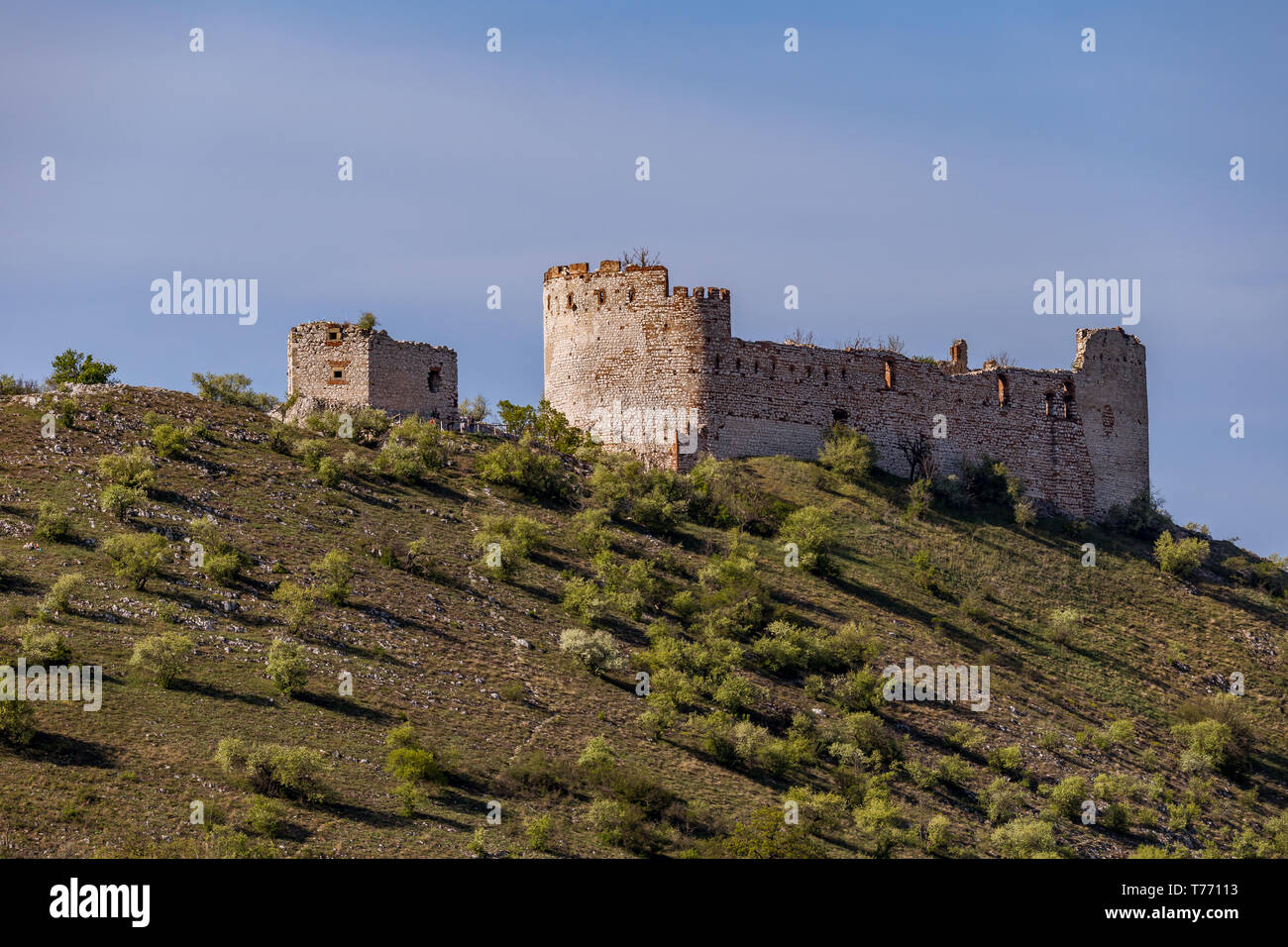 Rovine del Castello Devicky. Un imponente rovina e una splendida vista di tutta la zona, fu fondata intorno al 1222. Il castello è servito a proteggere il paese della strada Foto Stock