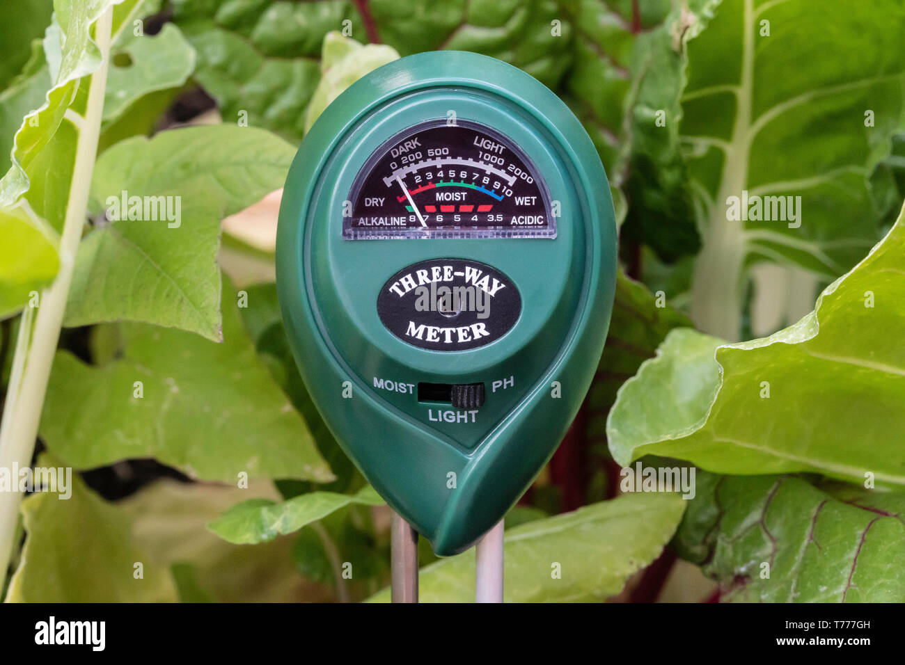 Un misuratore di suolo che mostra il PH in un giardino. Foto Stock