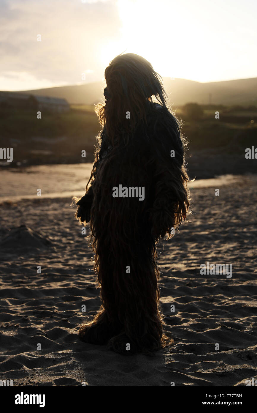 Una Star Wars fan vestiti come Chewbecca su San Finian's Bay, Kerry, guarda le Isole Skellig durante il Maggio 4 Festival in Portmagee, dove le scene di Star Wars sono state filmate. Foto Stock