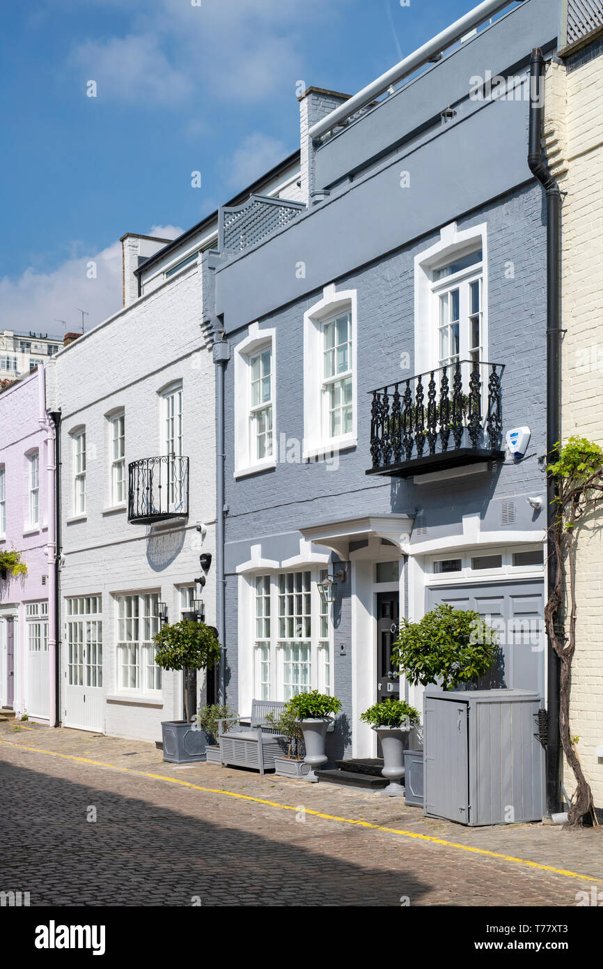 Grigio Casa e piccoli alberi e arbusti in contenitori in Princes Gate Mews, Kensington, Londra, Inghilterra Foto Stock