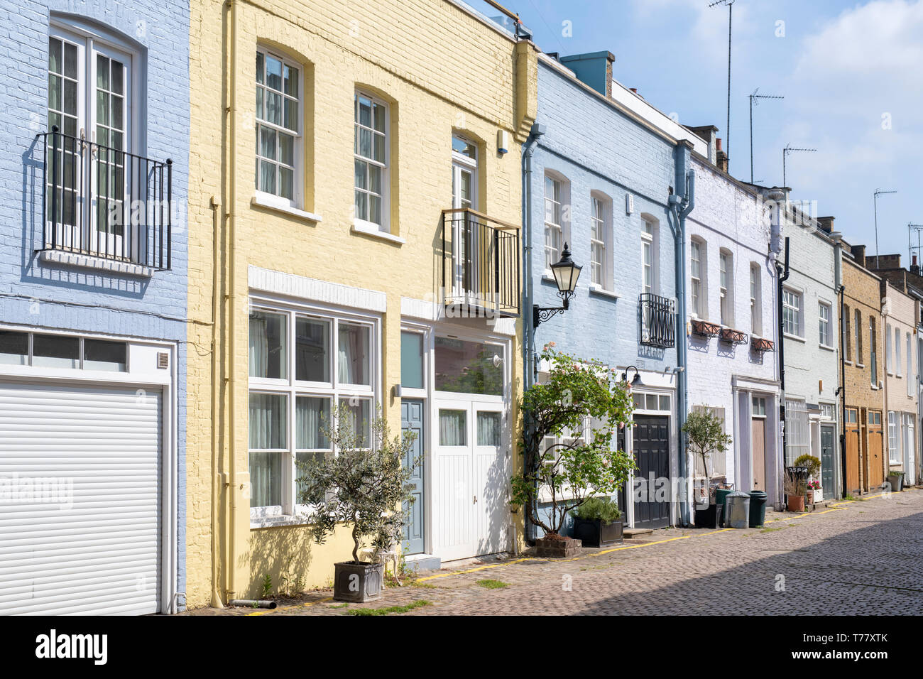 Case colorate e piccoli alberi e arbusti in contenitori in Princes Gate Mews, Kensington, Londra, Inghilterra Foto Stock