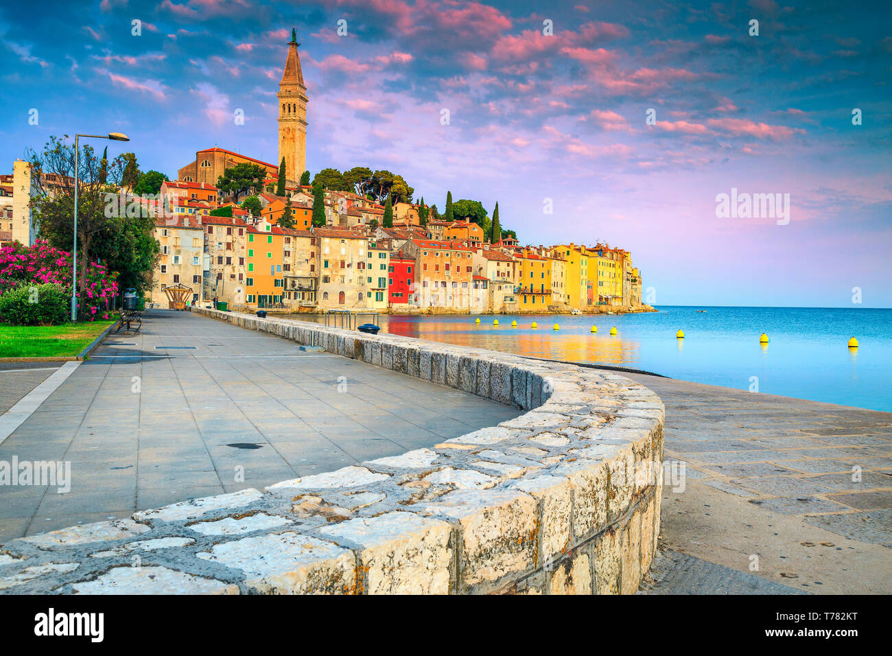 Popolari del mediterraneo posizione di viaggio. Incredibile la passeggiata sul lungomare con colorati edifici medievali e oleandro fiori, Rovigno, Istria regio Foto Stock