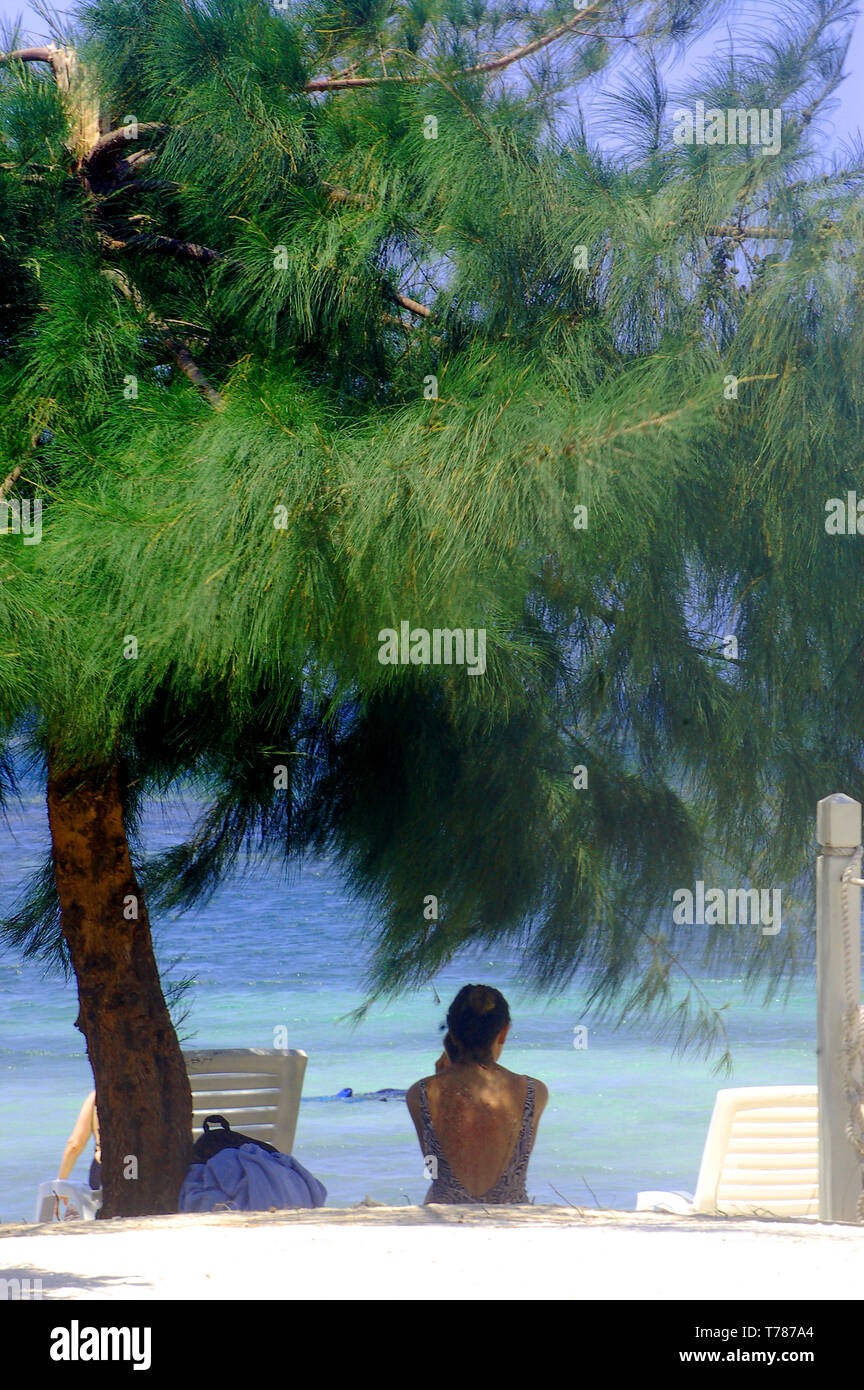 Un vacanziere siede nell'ombra che si affacciano sulla tourquoise acqua su una delle spiagge di Roatan Honduras foto di bill belknap Foto Stock