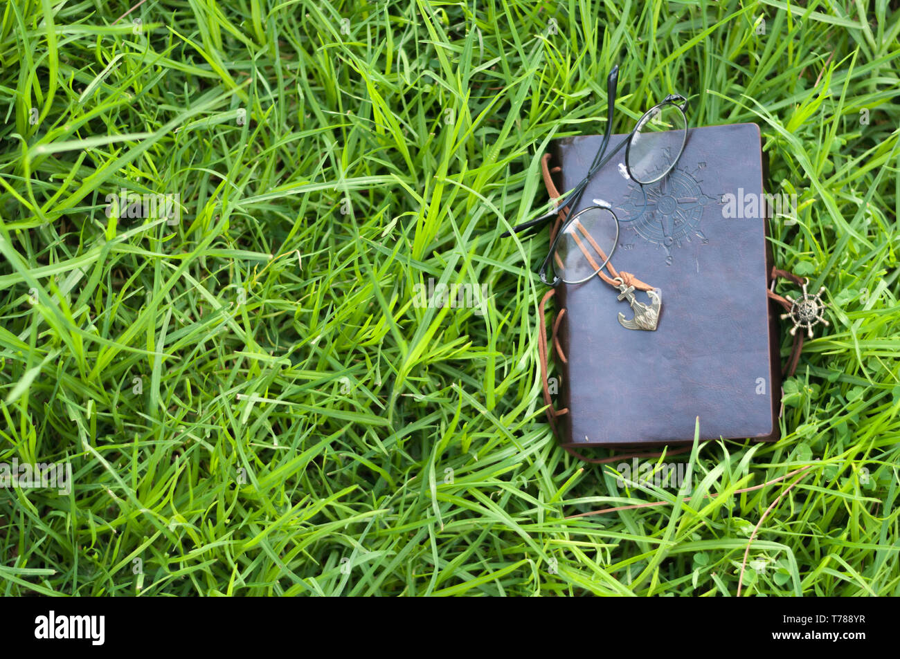Pelle vintage notebook su erba verde Foto Stock