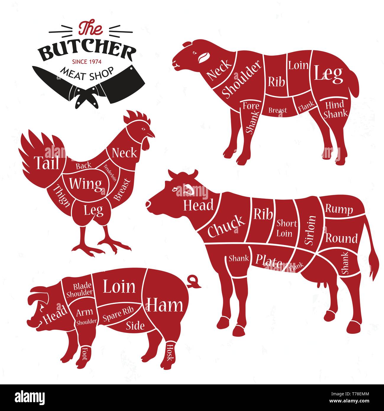 Tagli di carne. Diagrammi per il Butcher Shop. Illustrazione Vettoriale Illustrazione Vettoriale