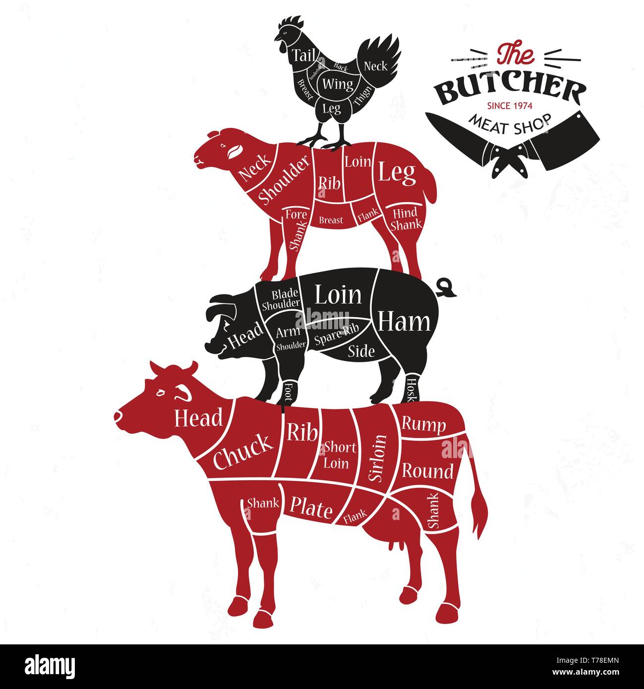 Tagli di carne. Diagrammi per il Butcher Shop. Illustrazione Vettoriale Illustrazione Vettoriale