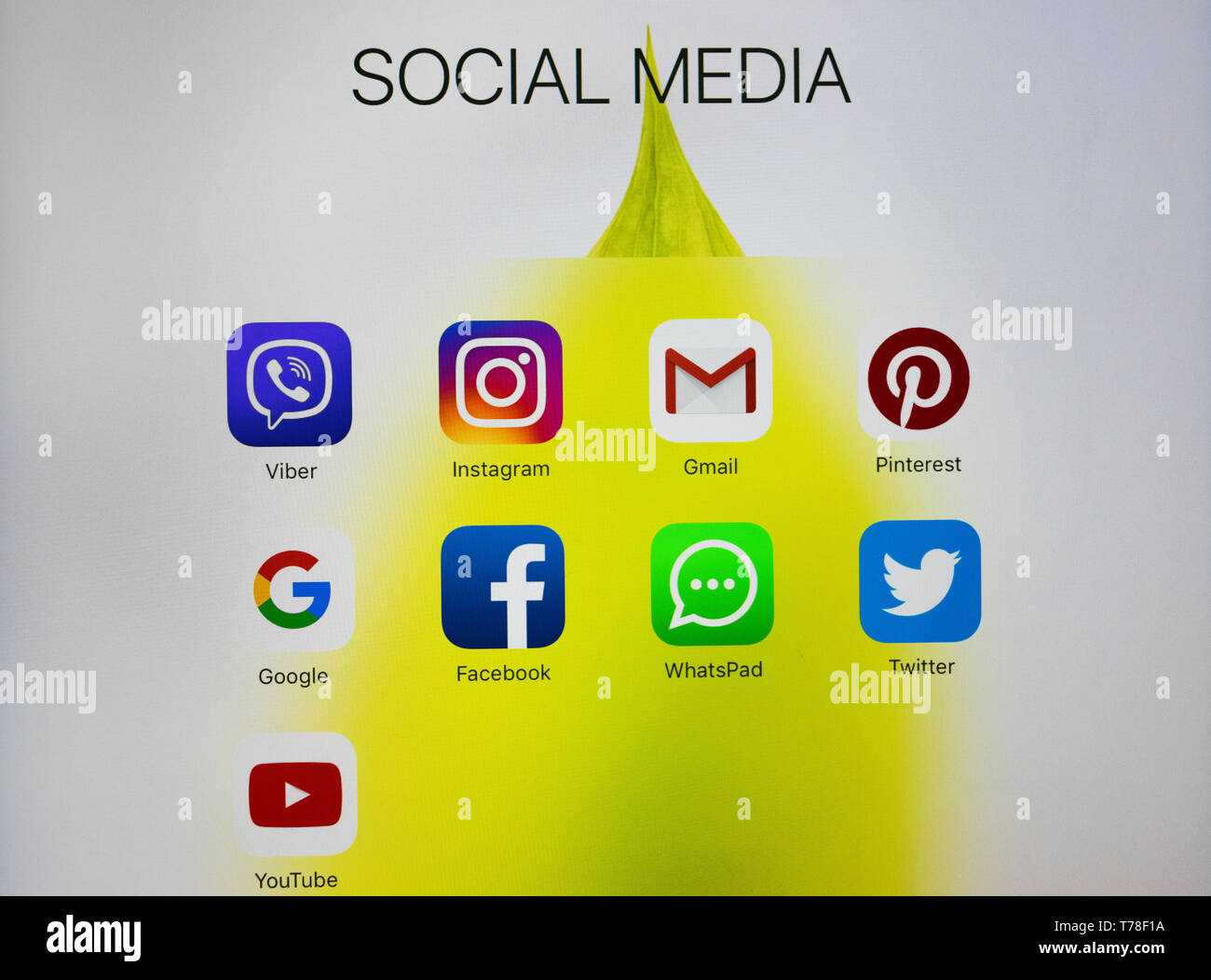 Sankt-Petersburg, Russia, Ottobre 2, 2017: iPad Apple Pro con le icone dei social media sullo schermo. Computer tablet stile di vita. A partire social media app. Foto Stock