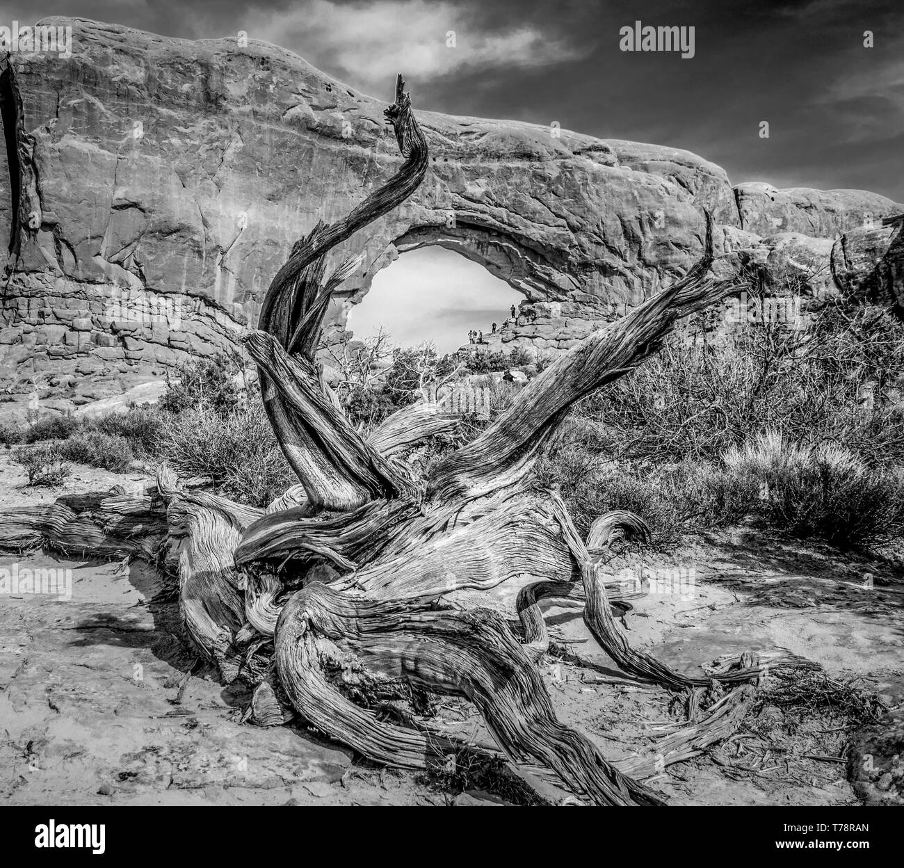 I fori nelle rocce al Parco Nazionale di Arches Foto Stock