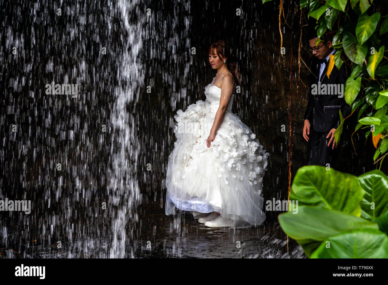 La sposa e lo Sposo posa per foto di nozze al Singapore Botanic Gardens, Singapore, Sud-est asiatico Foto Stock
