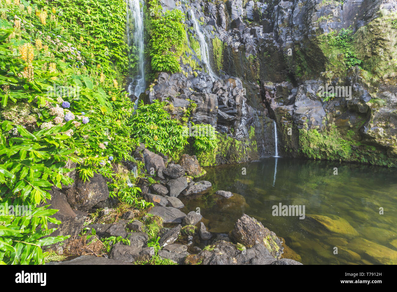 Una cascata a Faja Grande. Fare poco Bacalhau. Flores, isole Azzorre, Portogallo Foto Stock