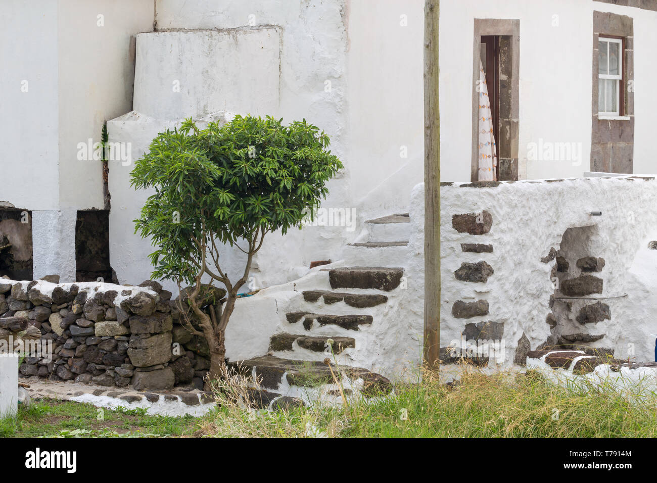 Tipica casa delle Azzorre in Fajã Grande, sull isola di Flores, Azzorre, Portogallo Foto Stock