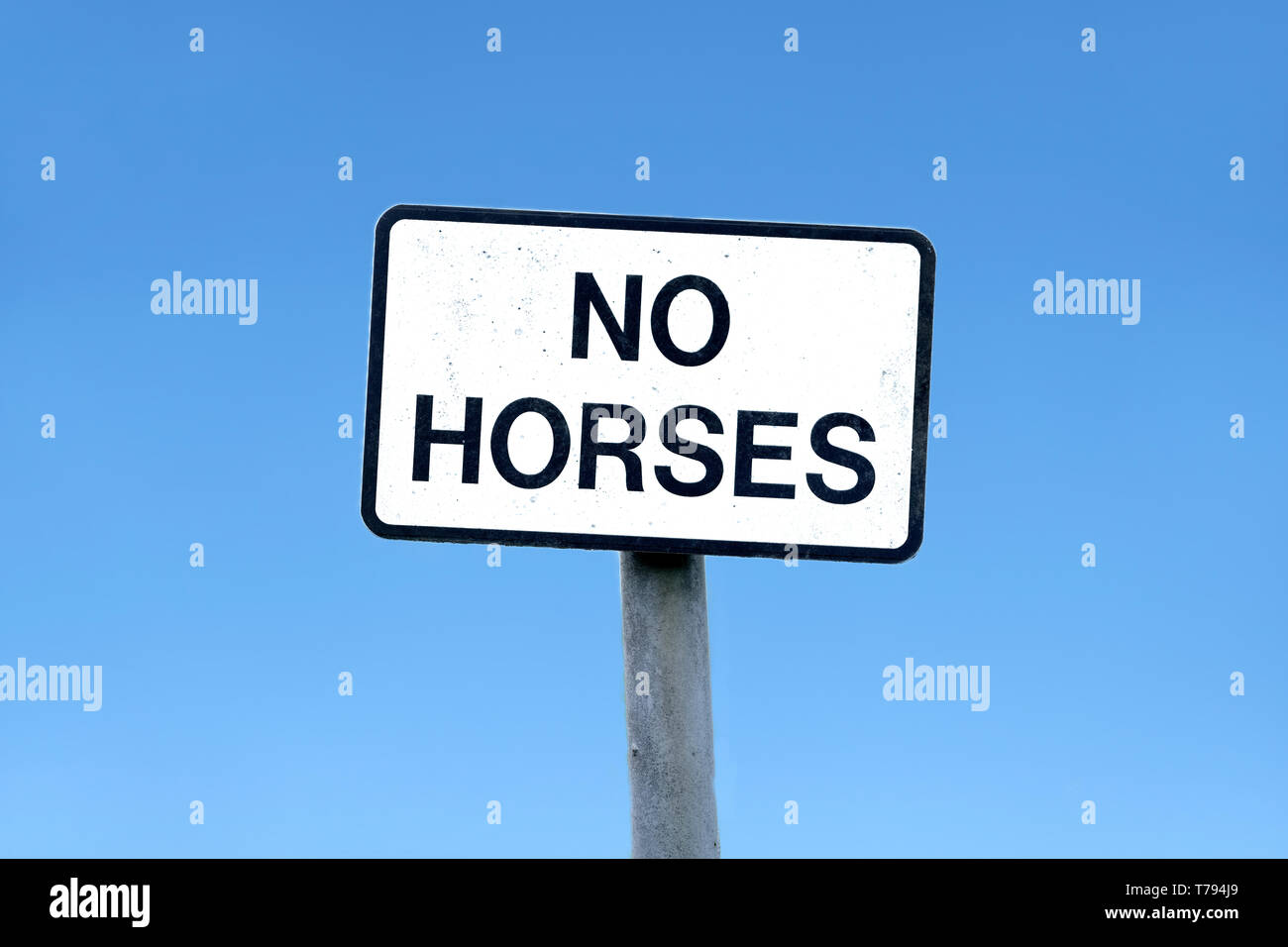 Pony Horse Riding attenzione cartello segnaletico stradale piloti animale trekking sul percorso autostrada pericolo di incidente centro equestre vicino nel paesaggio rurale Foto Stock