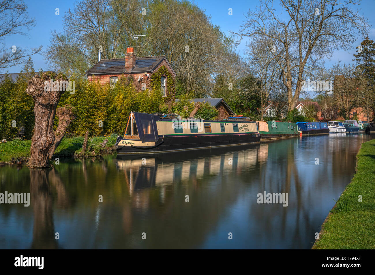 Newbury, Berkshire, Inghilterra, Regno Unito, Europa Foto Stock
