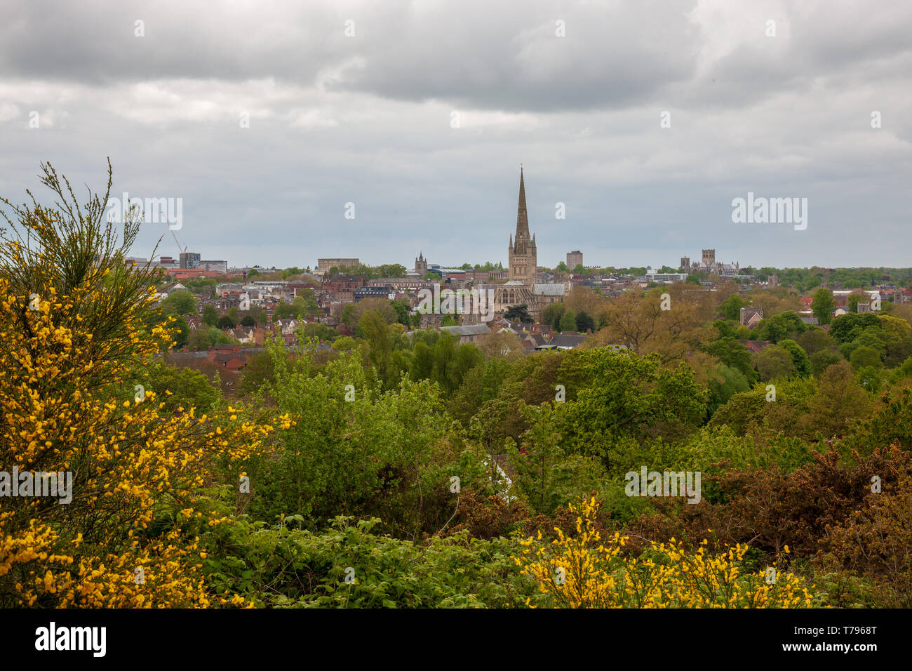 Vista del norwich skyline da mousehold heath Norwich Norfolk Foto Stock