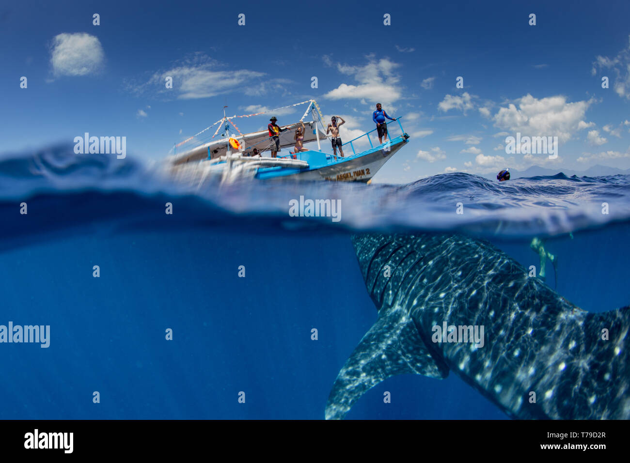 Oltre al di sotto della foto di un squalo balena (Rhincondon typus) nuoto al di sotto di una banca tour in barca nella baia di Honda, PALAWAN FILIPPINE. Foto Stock