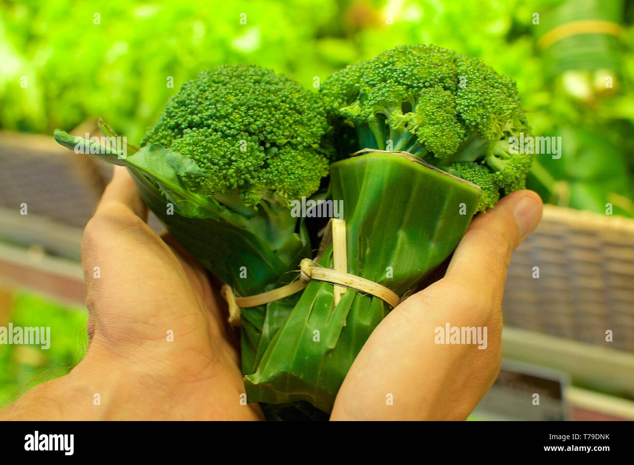 Broccoli avvolti in foglie di banana e tenuto in mani di uomo. Questa è una soluzione eccellente come sostituire la confezione di plastica e ridurre la vita di essa - Bali, Foto Stock
