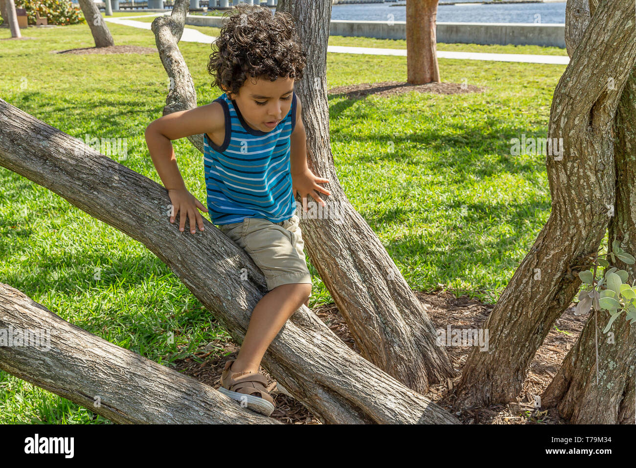 In una bella giornata di sole al parco riempito con piccoli alberi, un avventuroso ragazzino fa il suo modo sulla struttura ad albero . Foto Stock