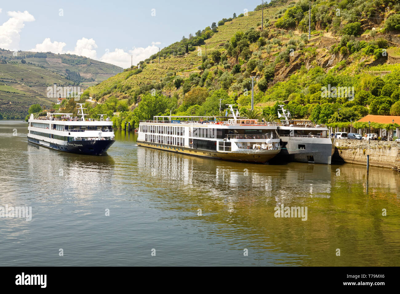 3 riverboats, Fiume Douro, automobilismo, ancorata al passo, vigneti, vacanze, viaggi touring, Europa; Portogallo; la molla, orizzontale Foto Stock
