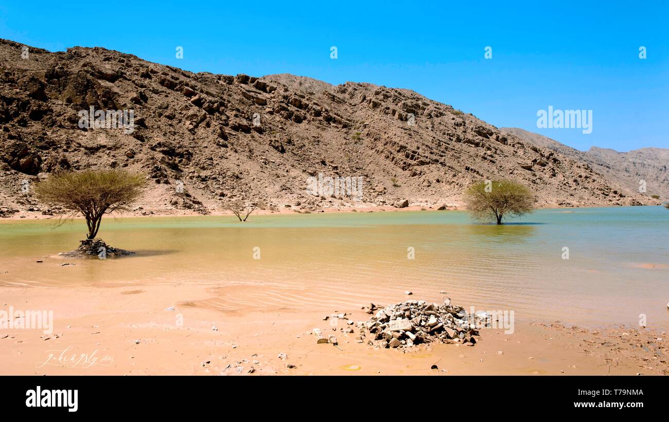 Vista panoramica delle acque-cape nel deserto Foto Stock