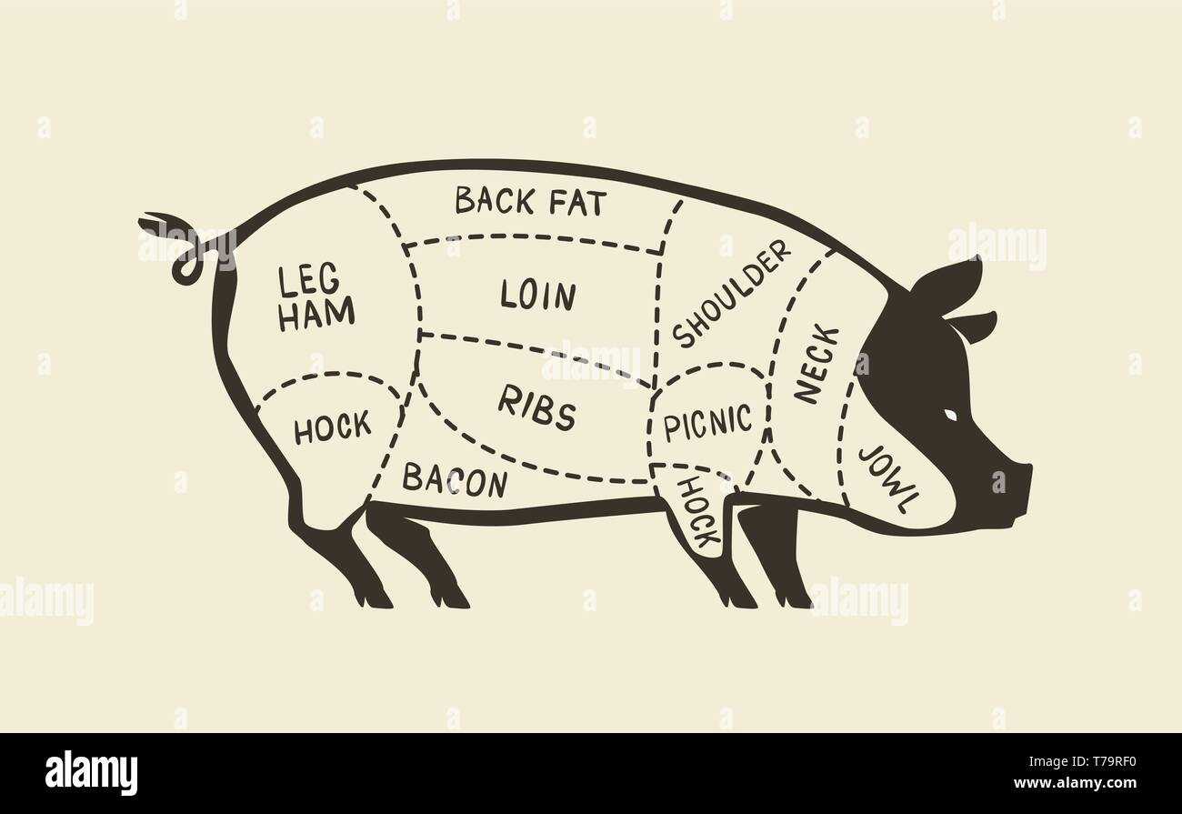 Tagli di carne di maiale, maiale. Negozio di macellaio, carne illustrazione vettoriale Illustrazione Vettoriale