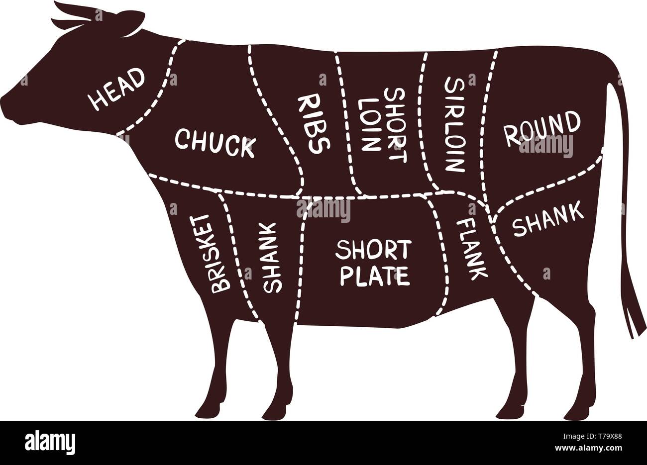 Vacca schema di taglio. Macelleria, carni bovine illustrazione vettoriale Illustrazione Vettoriale