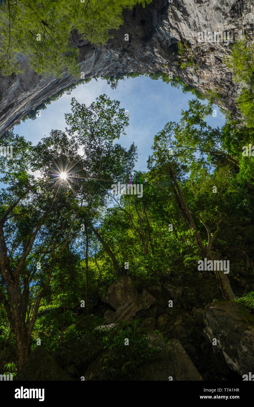 Parte superiore della Casa de Pedra, Iporanga, Brasile, la più grande grotta bocca in tutto il mondo. Vista da direttamente sotto di esso. Foto Stock