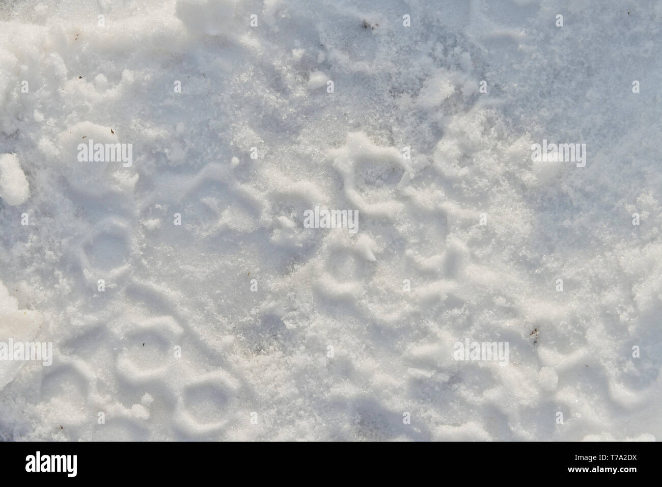 All'interno di un'impronta da una neve boot sembra qualcosa di simile a un mondo alieno illuminato da luce solare Stark. Foto Stock