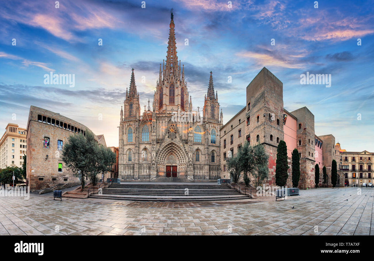 La cattedrale di Barcellona, Spagna Foto Stock