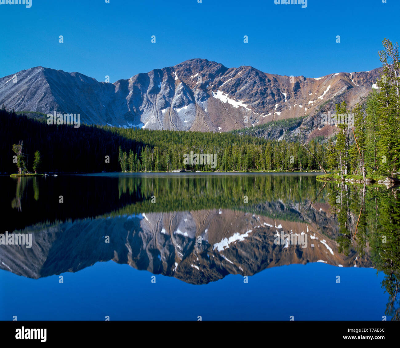 Il lago dell'isola sotto il monte evans in anaconda gamma vicino a Georgetown, montana Foto Stock Il lago dell'isola sotto il monte evans in anaconda gamma vicino a Georgetown, montana Foto Stock