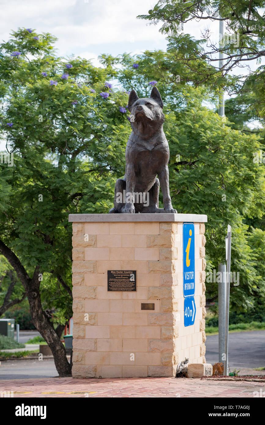 Il Big Blue guaritore monumento eretto nel NSW città di Muswellbrook nel 2001 per celebrare questo Australian razza di cane e il suo contributo all'agricoltura Foto Stock