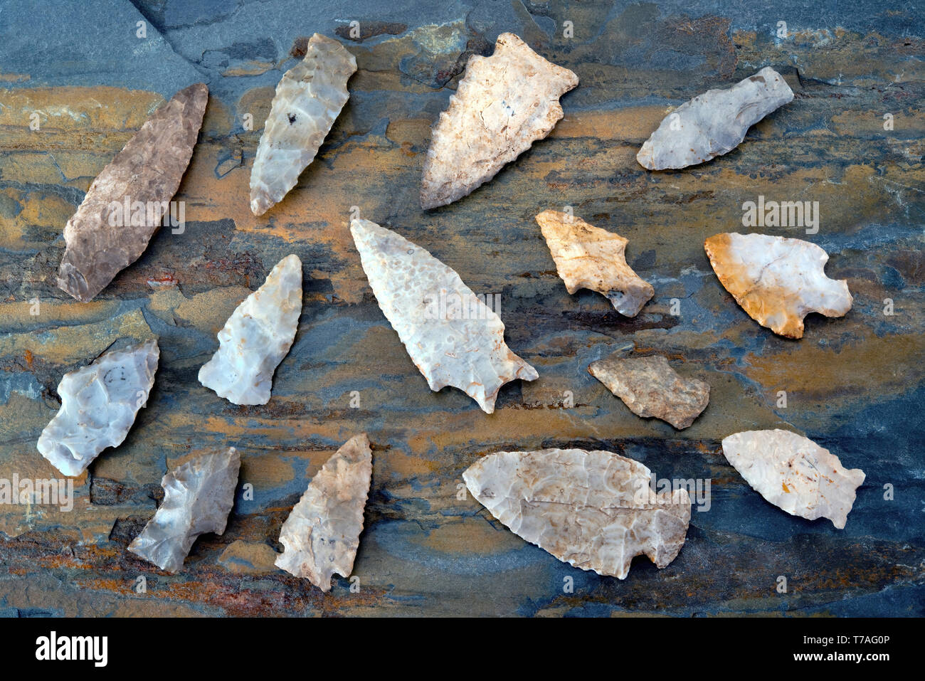 Real American Indian frecce realizzato intorno a 6-9 di migliaia di anni fa, essi sono stati trovati nel Texas orientale. Foto Stock