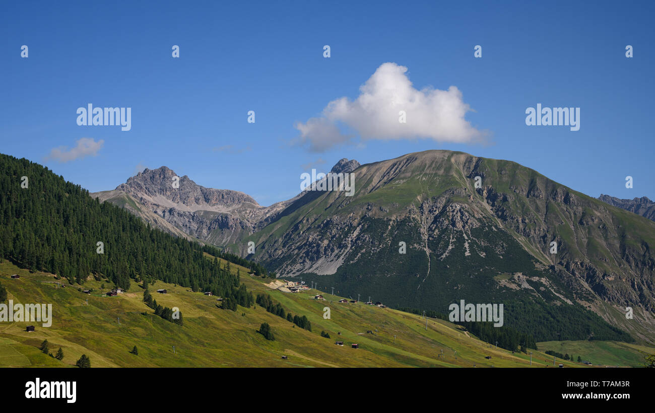 Bellissimo paesaggio estivo da Livigno in Italia: montagne con alberi di pino e l'erba verde, blu cielo con una nuvola bianca sopra la cima della montagna, viaggi Foto Stock