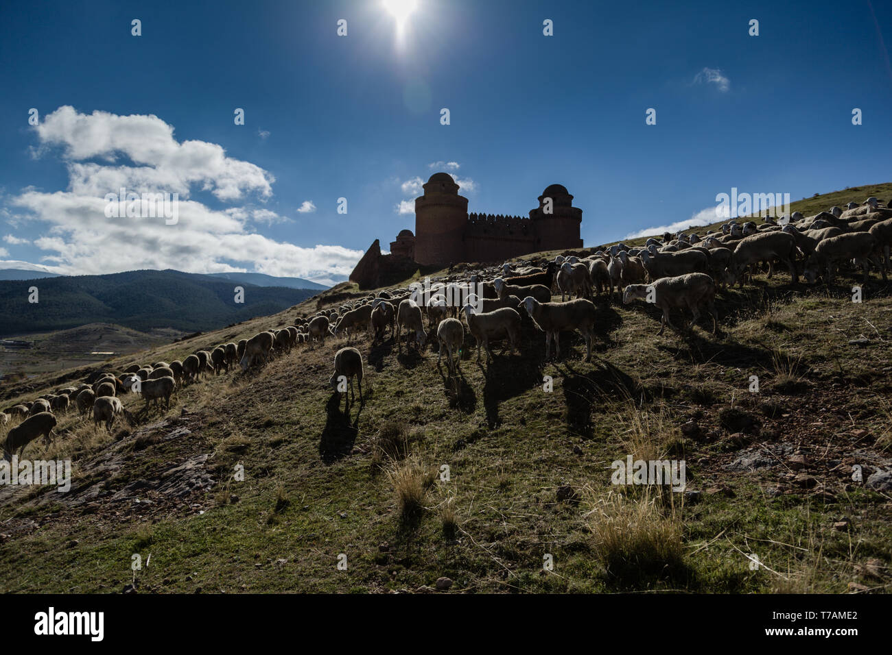 Castillo de la Calahorra Foto Stock