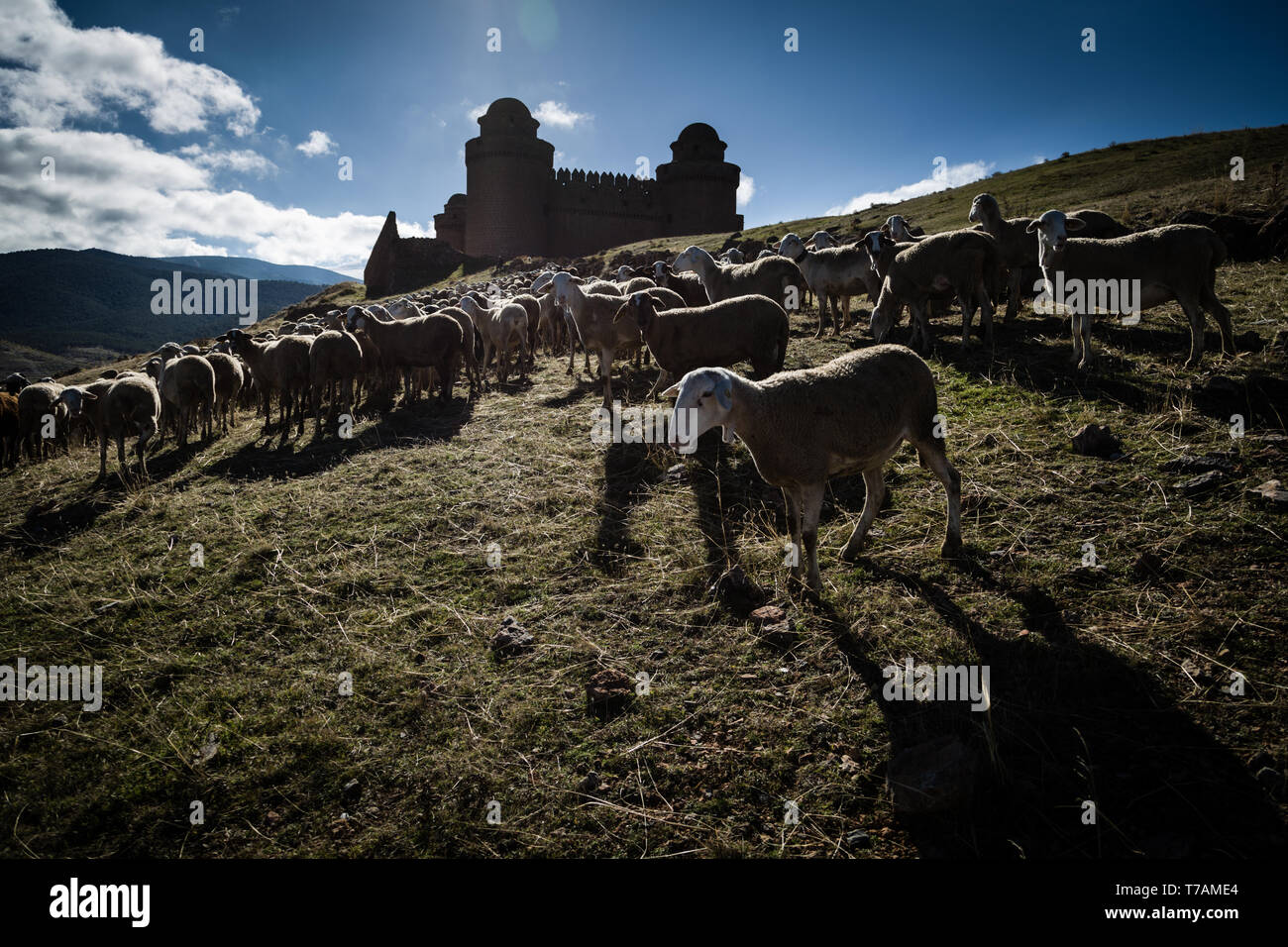 Castillo de la Calahorra Foto Stock