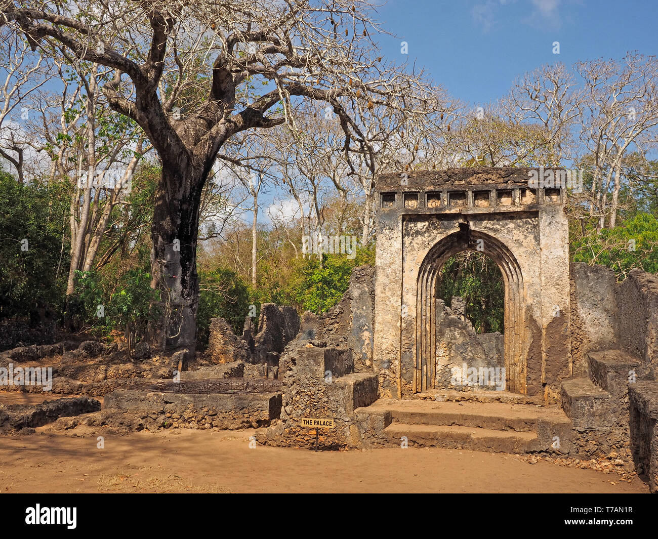 Rovinato porta Al palazzo in abbandonato antiche rovine di una città di Gedi vicino a Watamu sulla costa del Kenya, Africa Foto Stock