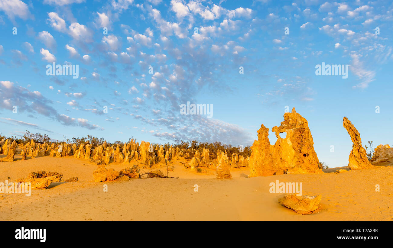 Bella vista delle rocce contro un drammatico Cielo di tramonto nel Deserto Pinnacles, Australia occidentale Foto Stock